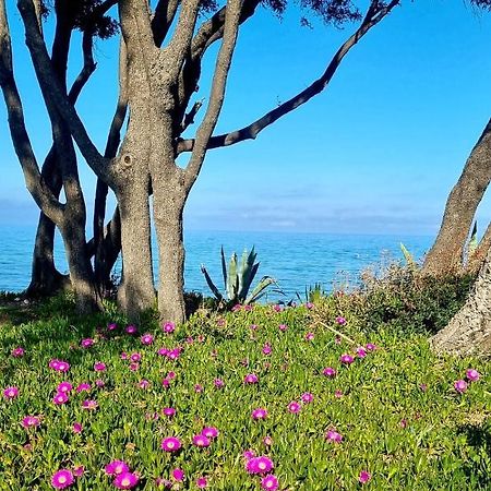 Maison U Nidu A 500M De La Mer Червионе Экстерьер фото